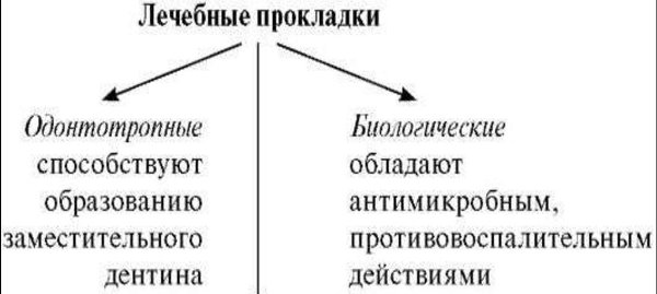 Лечебные прокладки зубов